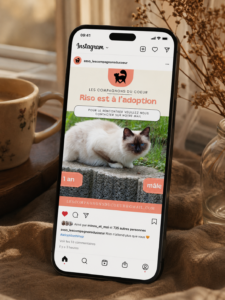 Création d’une publication Instagram pour promouvoir l’adoption d’un chat
