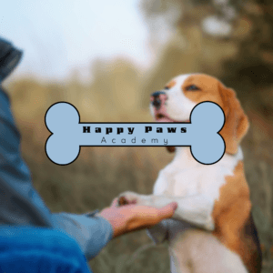 Logo Happy Paws Academy en forme d’os devant un chien pendant une séance d’éducation canine.