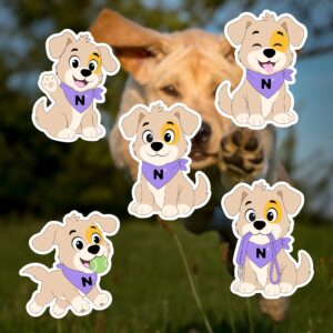 Mascotte illustrée pour Nova Pets, marque d'accessoires pour animaux, avec plusieurs déclinaisons d'expressions et de poses.